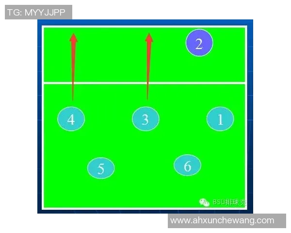 南京排球队整体压制战术解析与实战应用探讨