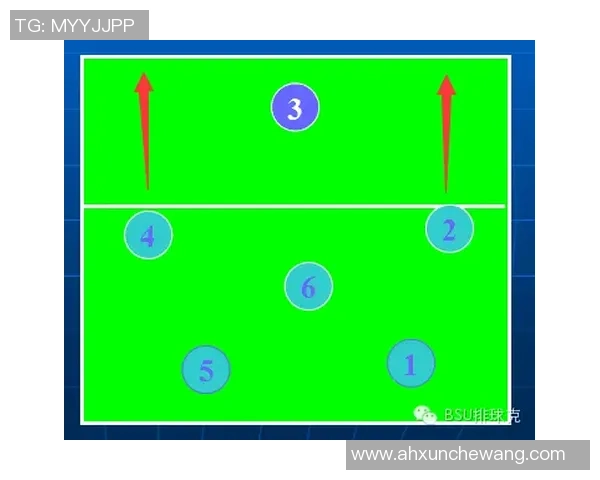 南京排球队防守战术深度解析与实战应用探讨