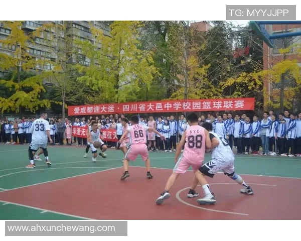 南京篮球队的崛起与发展探索展现城市体育力量与精神风貌