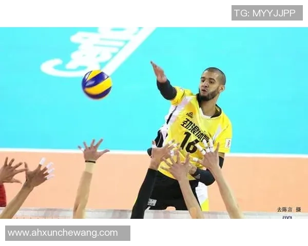 李静的排球人生：从赛场到心灵的对话与反思